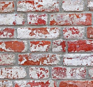 tinted-white-and-red-bricks-2