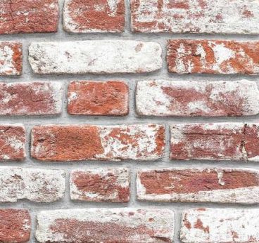 TUMBLED RED BRICKS TINTED WHITE