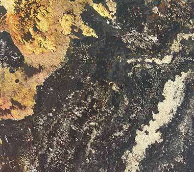 Translucent Autumn Rustic